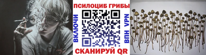 гидра tor мориарти телеграм Галлюциногенные грибы ЛСД Абдулино